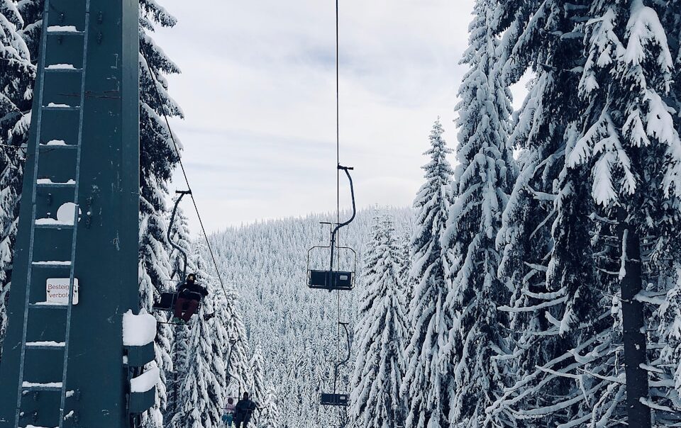 cable cart between trees