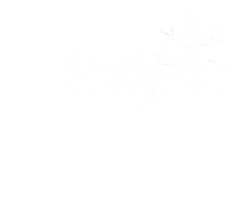 hotel restaurant les gets flocon argent